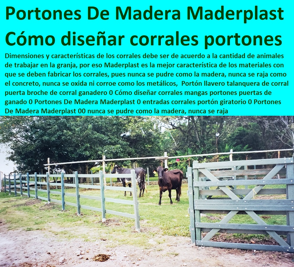 Portón llavero talanquera de corral puerta broche de corral ganadero 0 Cómo diseñar corrales mangas portones puertas de ganado 0 Portones De Madera Maderplast 0 entradas corrales portón giratorio 0 Portones De Madera Maderplast 00 Portón llavero talanquera de corral puerta broche de corral ganadero 0 Cómo diseñar corrales mangas portones puertas de ganado 0 Portones De Madera Maderplast 0 entradas corrales portón giratorio 0 Portones De Madera Maderplast 00 Baules De Madera Plástica Maderplast 0, cajas organizadoras plasticas grandes 0, cajas organizadoras en tela 0, venta de baúles 0, cajas plasticas organizadoras 